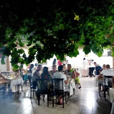 Отель Kleopatra Sahara 3*